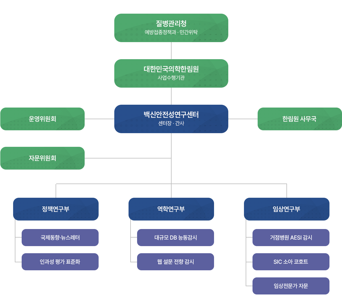 백신안전성연구센터 조직도